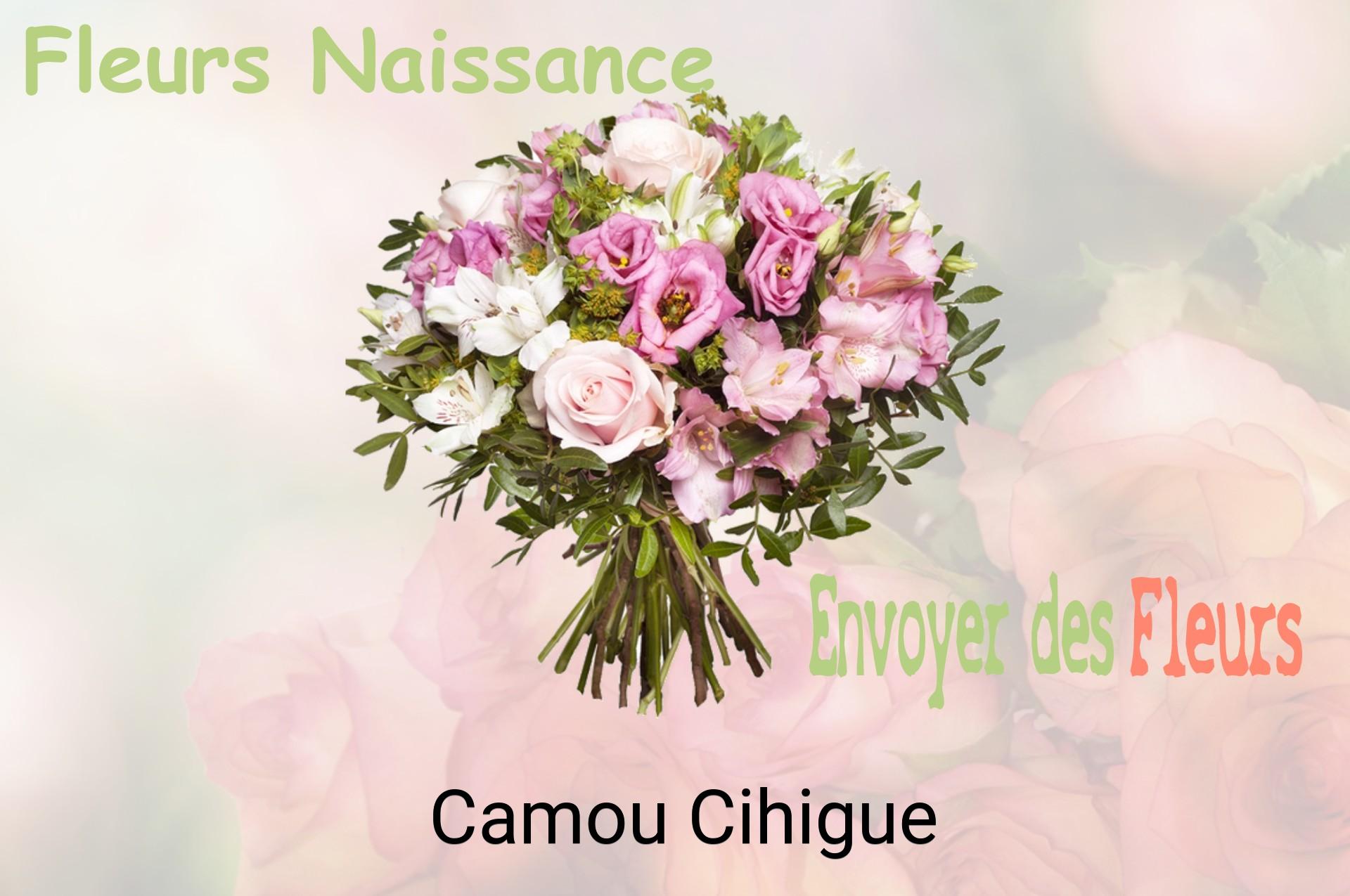 Bouquet de fleurs de naissance livré à Camou-Cihigue