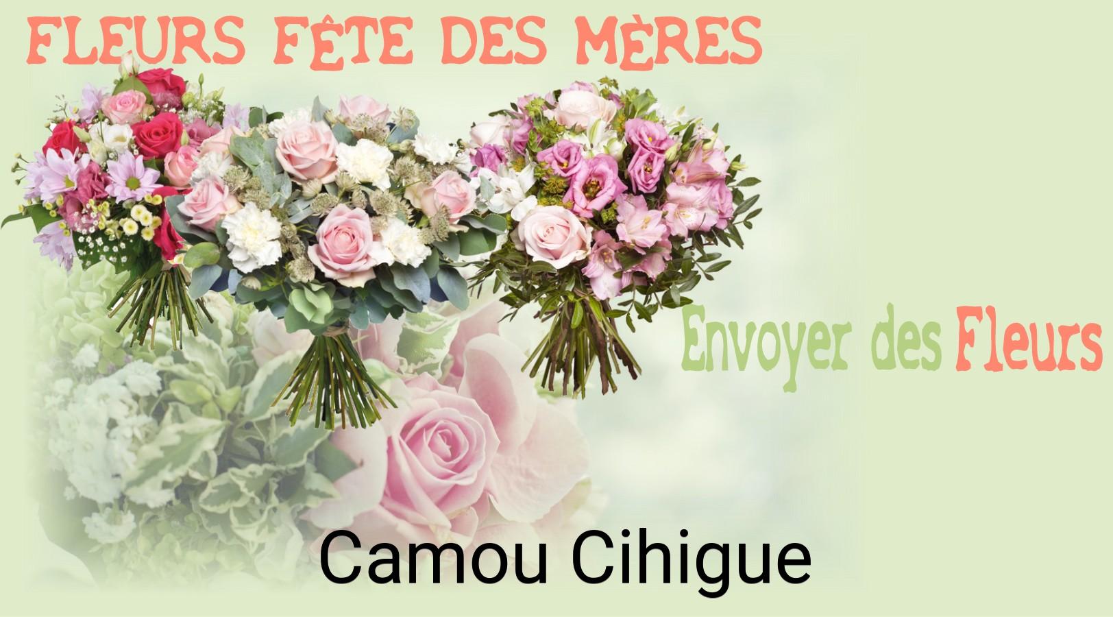 Bouquet de Fête des Mères livré à Camou-Cihigue